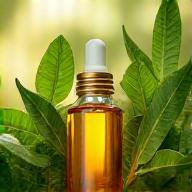 Green leaves and cosmetic oil bottle